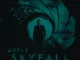 Adele - Skyfall