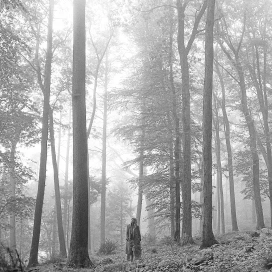 Taylor Swift - cardigan