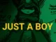 DrINsaNE - Just a Boy